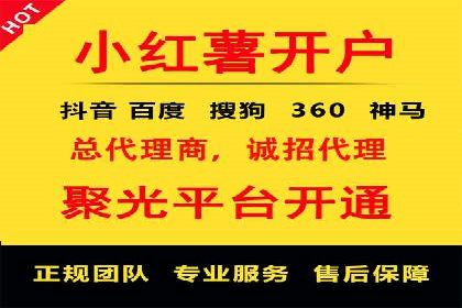 信息流投放策略：成功案例解析与效果评估